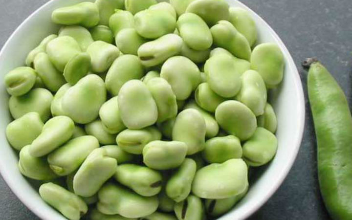 bakla
