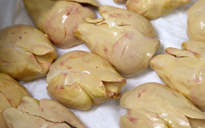 kaz-cigeri