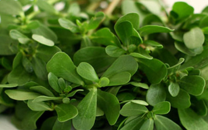 pirpirim