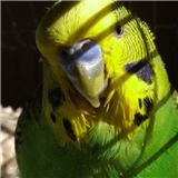 https://cdn.yemek.com/author/100525/20181027073248_avatar.png
