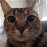 https://cdn.yemek.com/author/113045/20210428090929_avatar.jpg