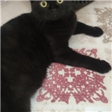 https://cdn.yemek.com/author/125050/20241107021956_avatar.jpg