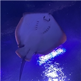https://cdn.yemek.com/author/157394/20241223033947_avatar.png