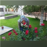 Tuğba KÜLEKÇİ