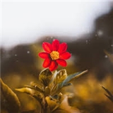 https://cdn.yemek.com/author/186878/20200419061724_avatar.jpg