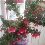https://cdn.yemek.com/author/216724/20191008013528_avatar.jpg