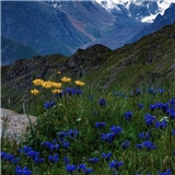 https://cdn.yemek.com/author/226198/20230730092011_avatar.png