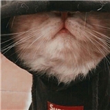 https://cdn.yemek.com/author/231668/20200517065724_avatar.jpg