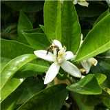 https://cdn.yemek.com/author/24267/20201025012450_avatar.jpg