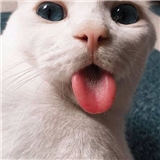 https://cdn.yemek.com/author/247209/20200427050432_avatar.jpeg