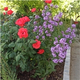 https://cdn.yemek.com/author/248936/20210523030630_avatar.jpg