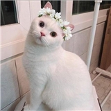 https://cdn.yemek.com/author/267611/20200326031437_avatar.jpg