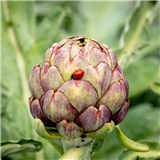https://cdn.yemek.com/author/269579/20200414034517_avatar.jpg