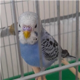 https://cdn.yemek.com/author/301364/20241213100832_avatar.png