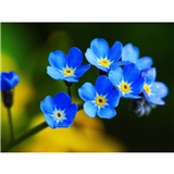 https://cdn.yemek.com/author/301431/20200505034526_avatar.jpg