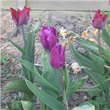 https://cdn.yemek.com/author/301492/20200507101955_avatar.jpg