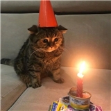 https://cdn.yemek.com/author/302037/20210222062530_avatar.jpg