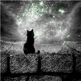 https://cdn.yemek.com/author/309121/20200516125328_avatar.jpg
