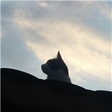 https://cdn.yemek.com/author/310396/20200630100622_avatar.jpg