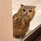 https://cdn.yemek.com/author/322003/20200621100445_avatar.jpg