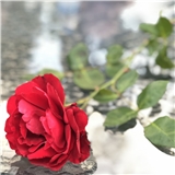 https://cdn.yemek.com/author/326354/20200721031018_avatar.jpeg