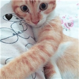 https://cdn.yemek.com/author/327018/20200808031718_avatar.jpg