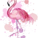 mypinkdreeams