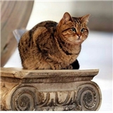 https://cdn.yemek.com/author/329308/20200730080446_avatar.jpg