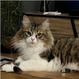 https://cdn.yemek.com/author/332491/20220626015932_avatar.jpeg