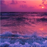 https://cdn.yemek.com/author/335856/20200820090932_avatar.jpeg