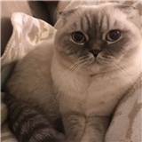 https://cdn.yemek.com/author/361611/20201123120539_avatar.jpeg