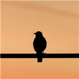 https://cdn.yemek.com/author/362837/20201105060203_avatar.jpg