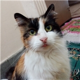 https://cdn.yemek.com/author/367353/20210120123640_avatar.jpg