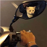https://cdn.yemek.com/author/369871/20201217024132_avatar.jpg