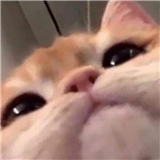 https://cdn.yemek.com/author/370420/20201127060924_avatar.jpg