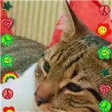 https://cdn.yemek.com/author/388671/20210421080952_avatar.jpg