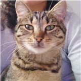 https://cdn.yemek.com/author/397982/20240121033649_avatar.png