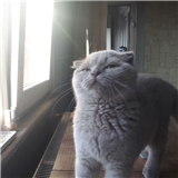 Eylül Nisa NAS