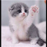 https://cdn.yemek.com/author/401407/20210225022906_avatar.jpg