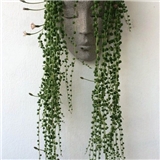 https://cdn.yemek.com/author/407085/20220929110700_avatar.jpg