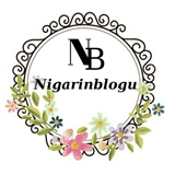 nigarinblogu