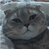 https://cdn.yemek.com/author/432119/20230624103109_avatar.png