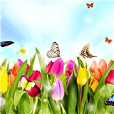 https://cdn.yemek.com/author/43923/20180328121538_avatar.jpg