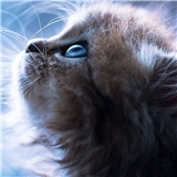 https://cdn.yemek.com/author/451063/20211117032219_avatar.jpg