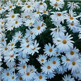 https://cdn.yemek.com/author/468819/20220405082010_avatar.jpg