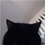 https://cdn.yemek.com/author/469150/20220412050248_avatar.jpg