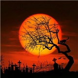 https://cdn.yemek.com/author/475712/20220613074655_avatar.jpg