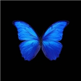 https://cdn.yemek.com/author/476246/20220621035400_avatar.jpeg