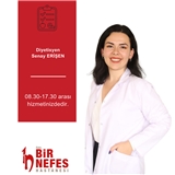 dytsenayerisenn