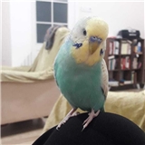 https://cdn.yemek.com/author/485530/20230424033807_avatar.png